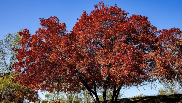 通辽市是哪个省份的