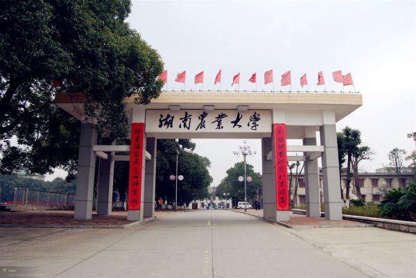 湖南农业大学是几本大学