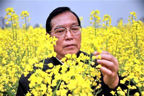 湖南农业大学是几本大学