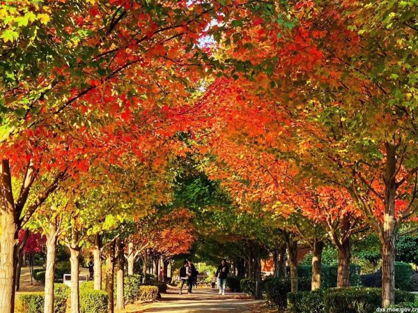 湖南农业大学是几本大学