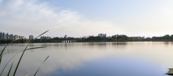 凌海市属于哪个市