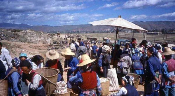 云南有几个市和几个自治州