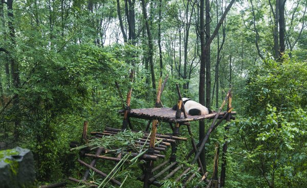 成都是几线城市