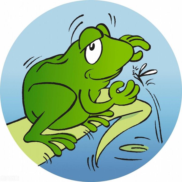 半夜怎么快速抓蚊子