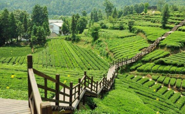 台湾最高峰是什么山