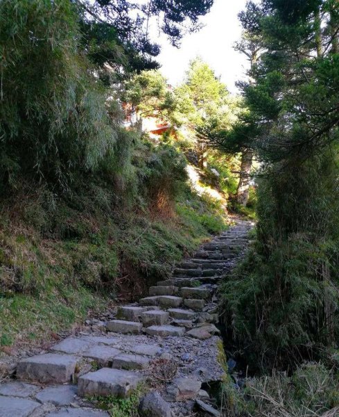 台湾最高峰是什么山