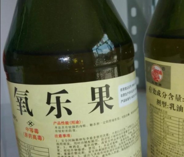 室内果蝇如何驱赶消灭