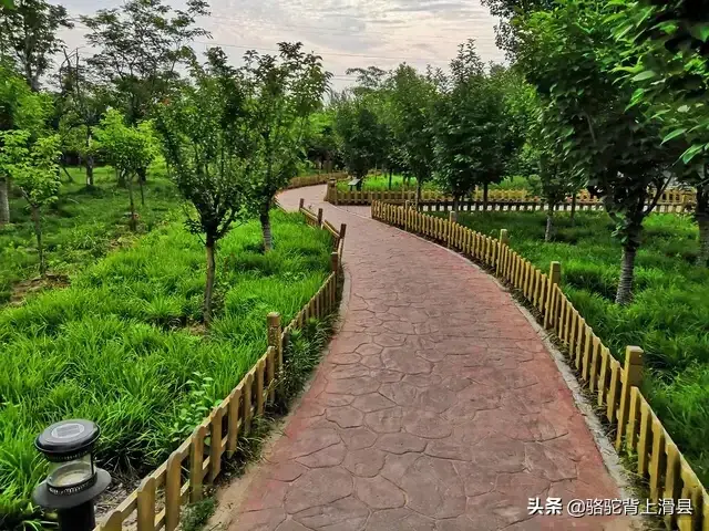 滑县是河南省哪个市