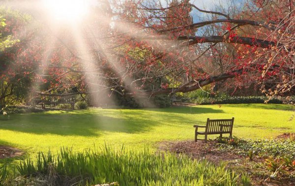 口不吞阳是什么意思