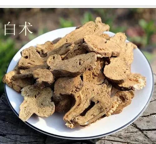 药材种植项目哪种最好