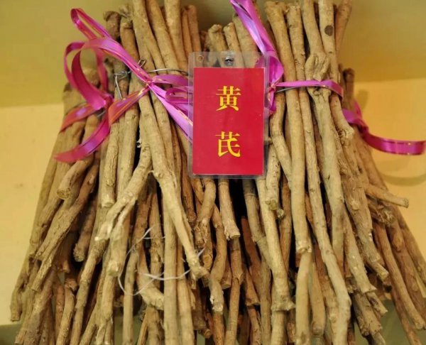 药材种植项目哪种最好