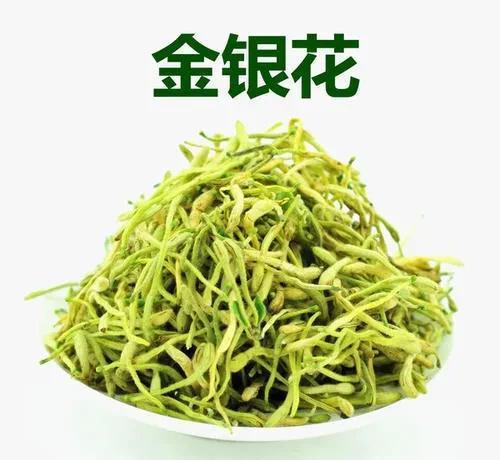 药材种植项目哪种最好