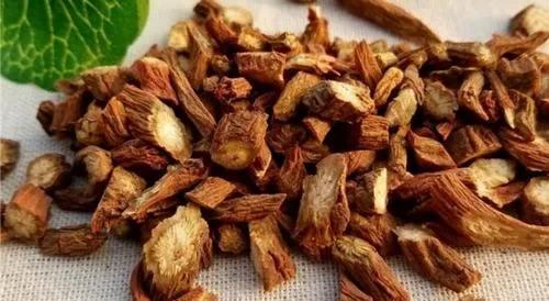 药材种植项目哪种最好