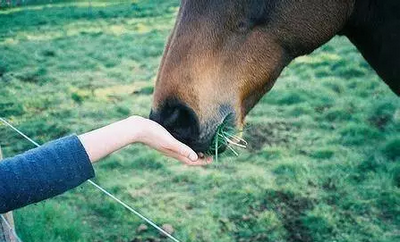 长城的历史文化价值有哪些