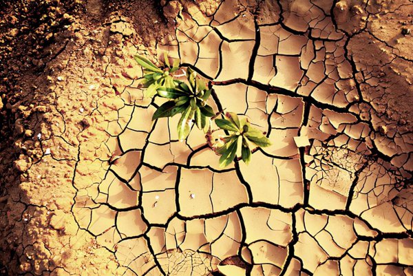 我国生态破坏主要有哪几个方面