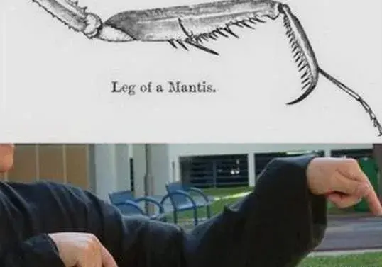 中国功夫最厉害的排名