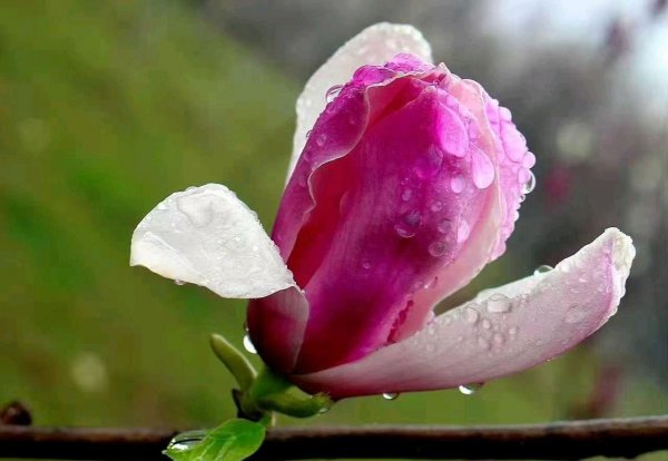 四月份是春天还是夏天