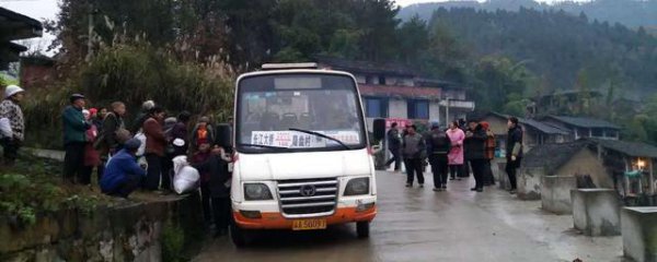 a3驾照就是大坑吗