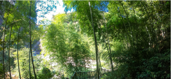 江西望仙谷景区在哪里