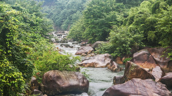 江西望仙谷景区在哪里