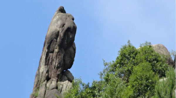 江西望仙谷景区在哪里