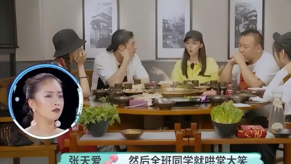 张天爱个人简介以及资料