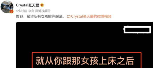 张天爱个人简介以及资料