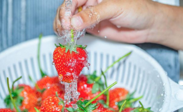 冬天草莓是反季节吗