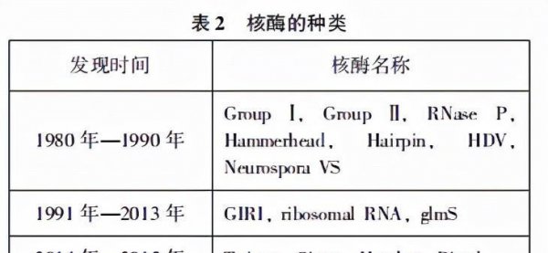 高中生物所有酶总结