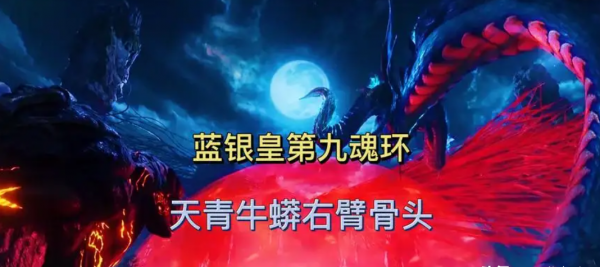 斗罗大陆的全部魂骨名称介绍