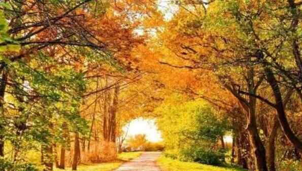 经典钢琴曲世界名曲