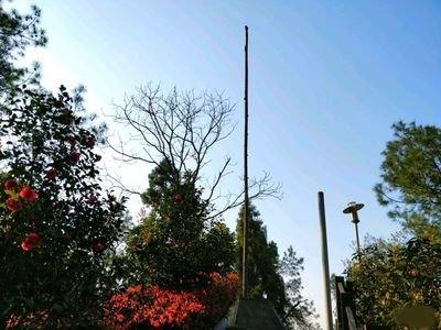 传说中的涂山在哪里