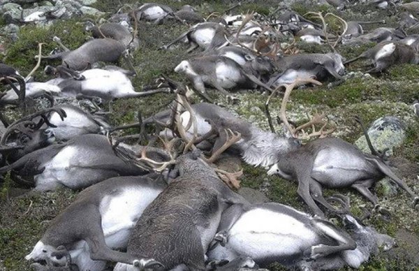 闪电是交流电还是直流电