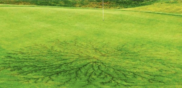 闪电是交流电还是直流电