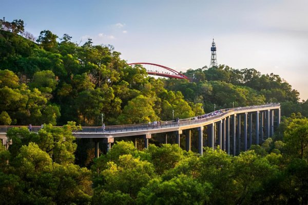 福建省的福州是几线城市