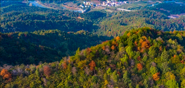 新余有什么旅游景点吗