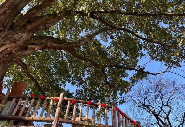 西昌在哪里属于哪个省哪个市