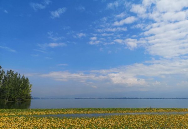 西昌在哪里属于哪个省哪个市