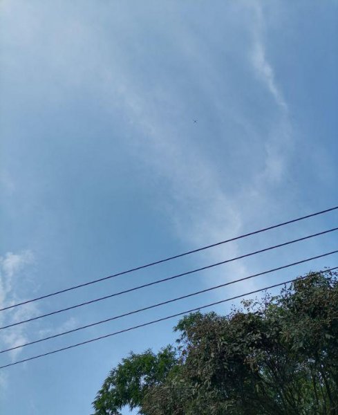 拆书稿是什么意思