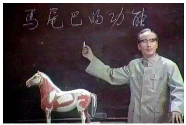 葛存壮简历及个人资料简介