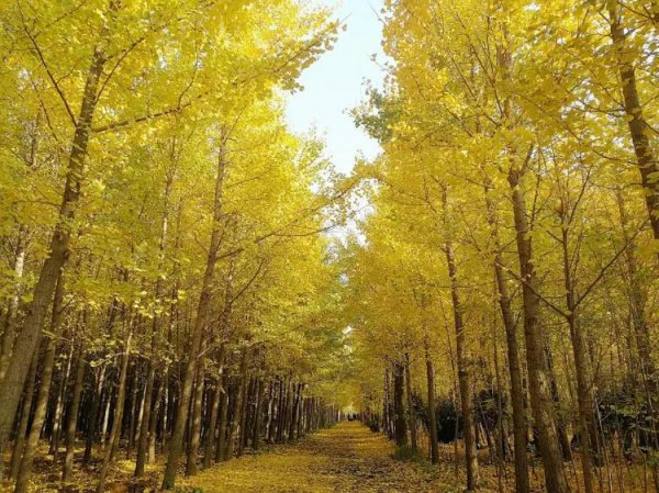 山西临汾景点大全推荐