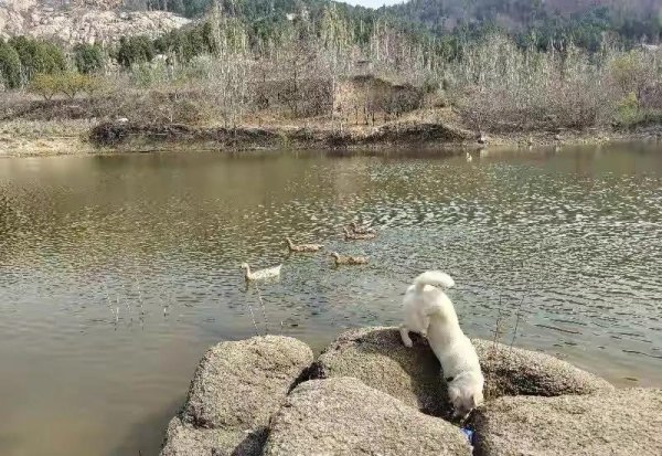 邹城有什么好玩的地方旅游景点