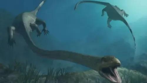 世界十大水怪是什么