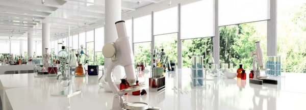 物生政组合的优缺点