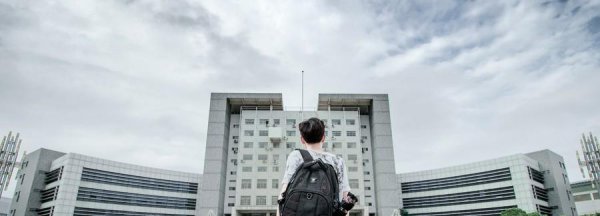 物生政组合的优缺点