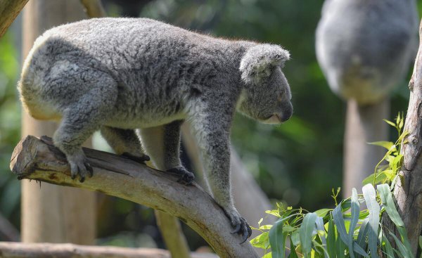 适合带孩子去的旅游地方推荐