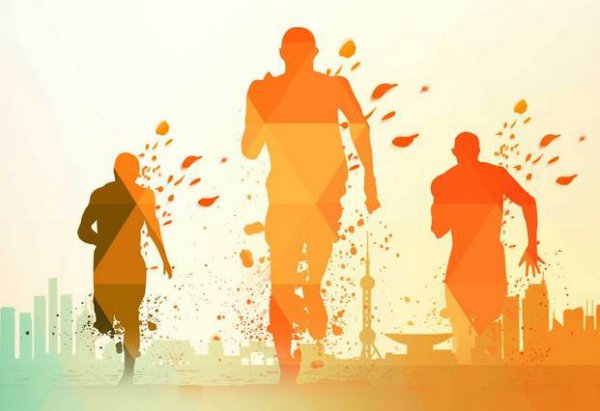 副教授是副高还是正高