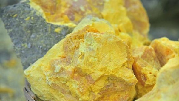 蛇怕硫磺是真的吗