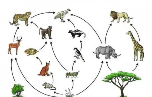 蛇怕硫磺是真的吗