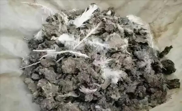 蛇怕硫磺是真的吗